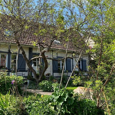 Chambre Cosy Bonnieres ภายนอก รูปภาพ